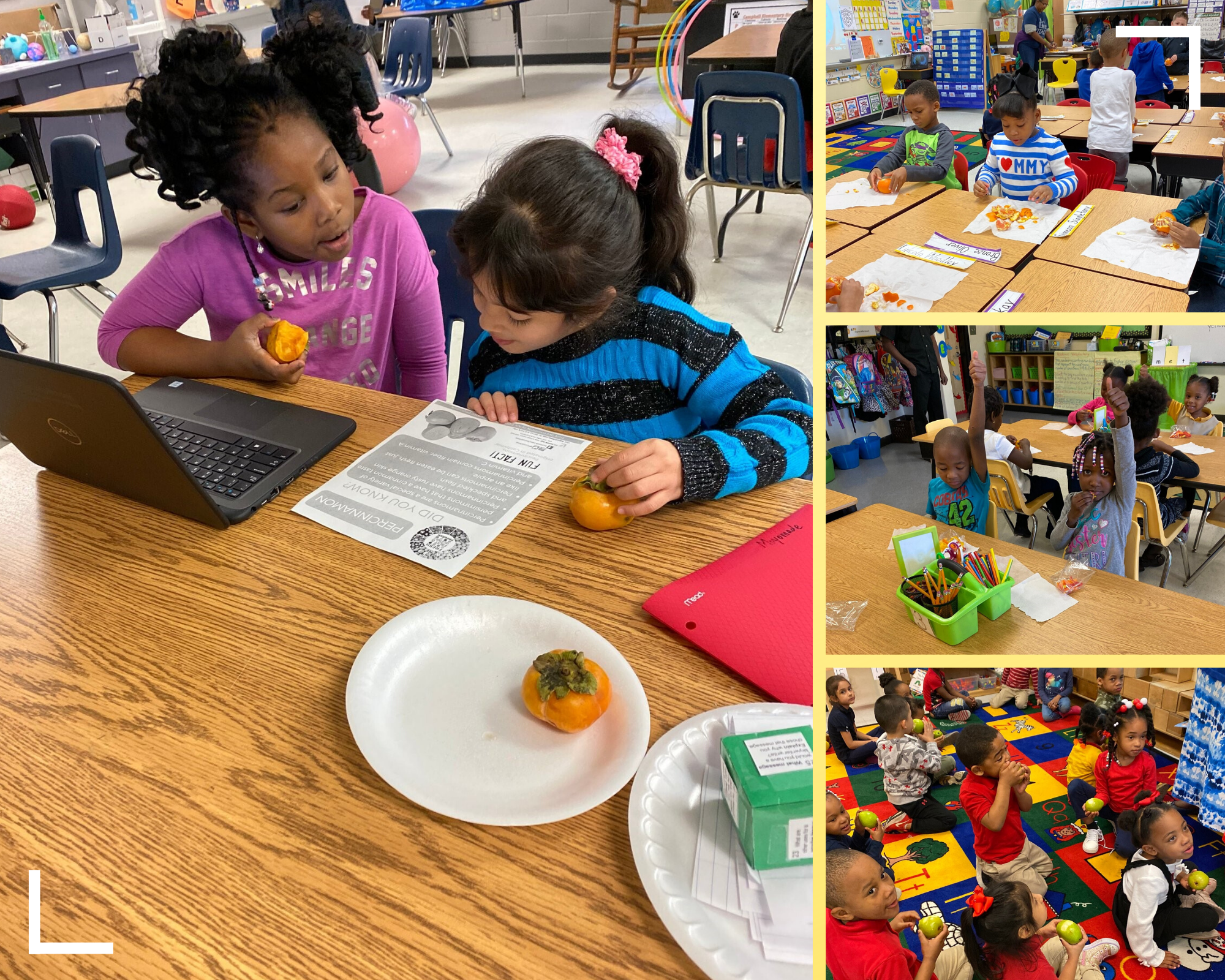 Fulton County School  Nutrition Fresh Fruit & Vegetable Program
